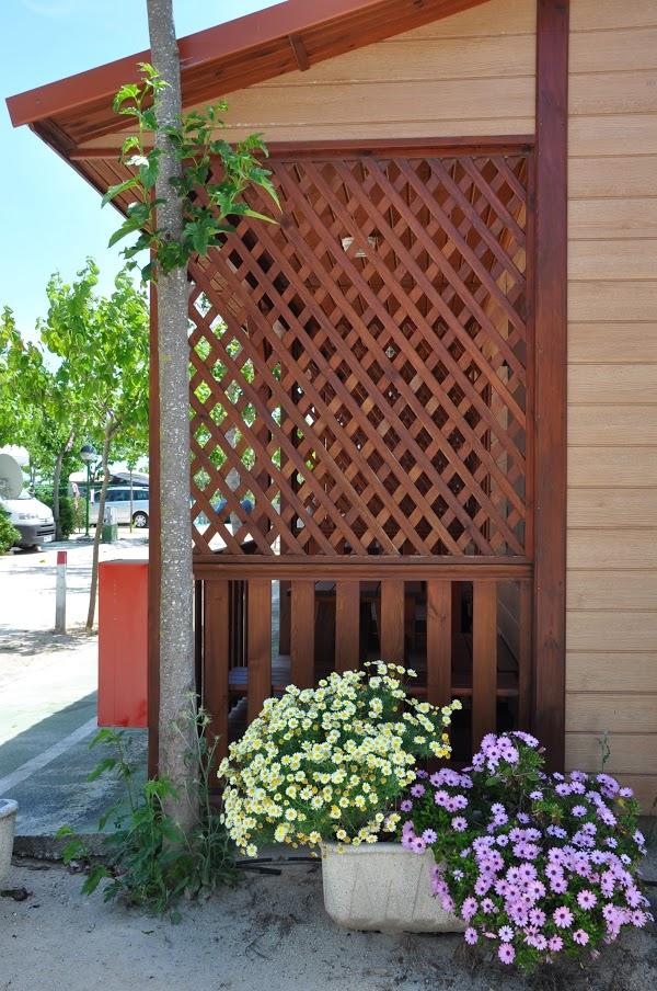 Imagen 14 Las Hespérides, Mascotas y Complementos foto