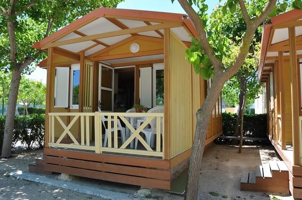 Imagen 16 Las Hespérides, Mascotas y Complementos foto