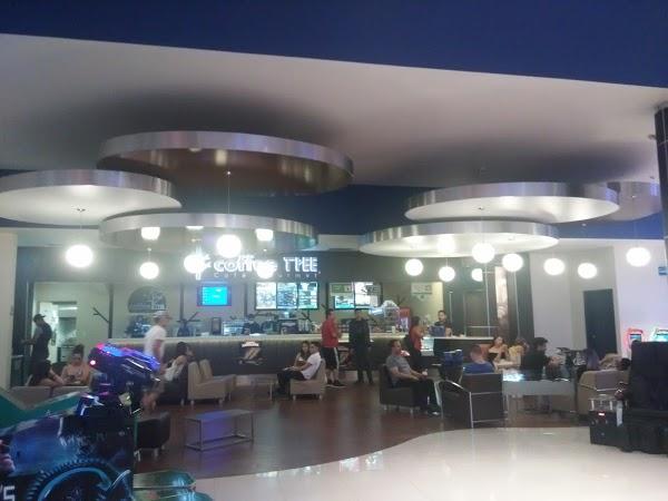 Imagen 72 Teatro Cervantes foto
