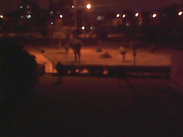 Imagen 12 El Vellon De Oro foto