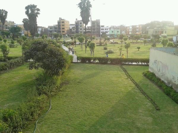 Imagen 21 El Vellon De Oro foto