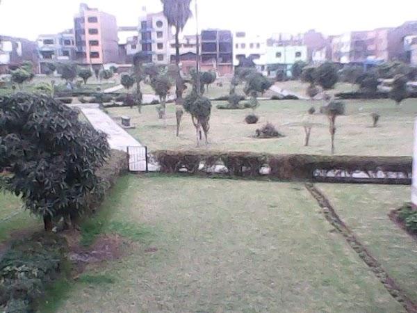 Imagen 38 El Vellon De Oro foto