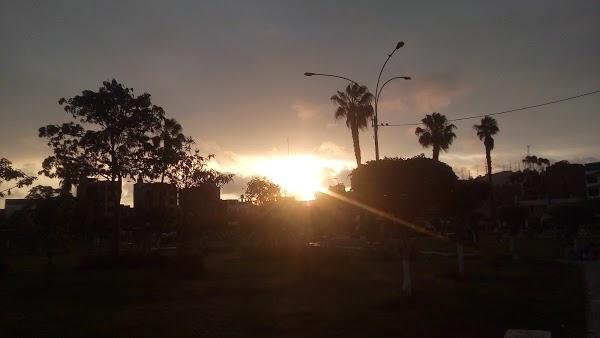 Imagen 55 El Vellon De Oro foto