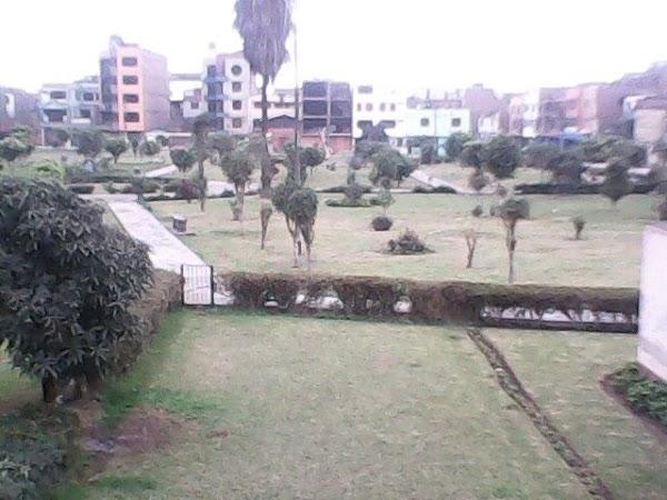 Imagen 7 El Vellon De Oro foto