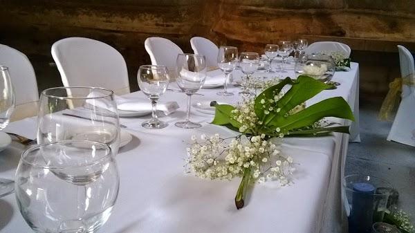 Imagen 63 El Vellon De Oro foto