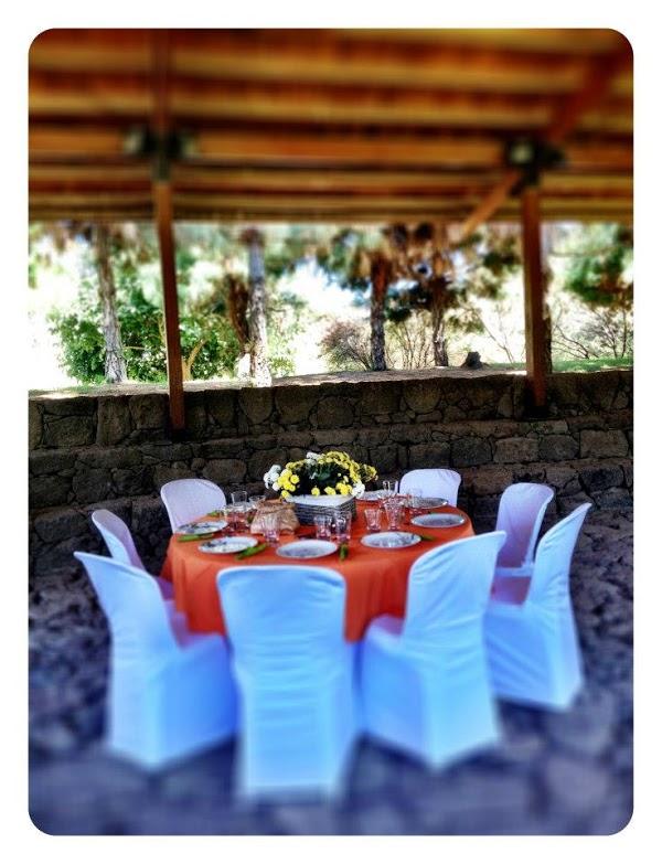 Imagen 68 El Vellon De Oro foto