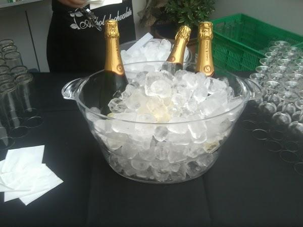 Imagen 69 El Vellon De Oro foto