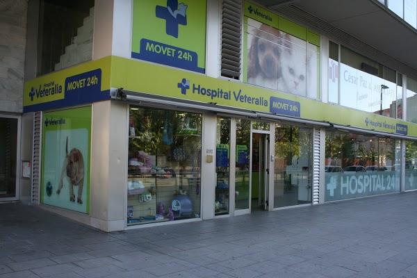 Imagen 11 Grupo 1 Ave Fénix foto