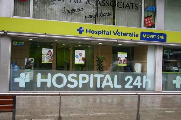 Imagen 18 Grupo 1 Ave Fénix foto