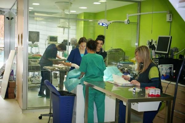 Imagen 19 Grupo 1 Ave Fénix foto