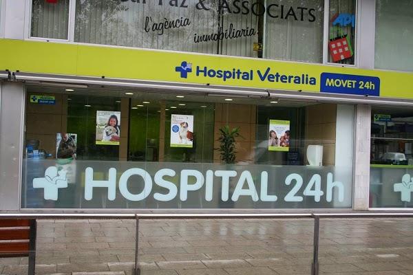 Imagen 28 Grupo 1 Ave Fénix foto