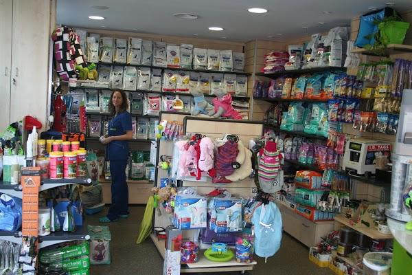 Imagen 30 Grupo 1 Ave Fénix foto