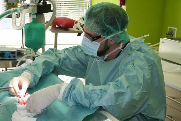 Imagen 43 Grupo 1 Ave Fénix foto