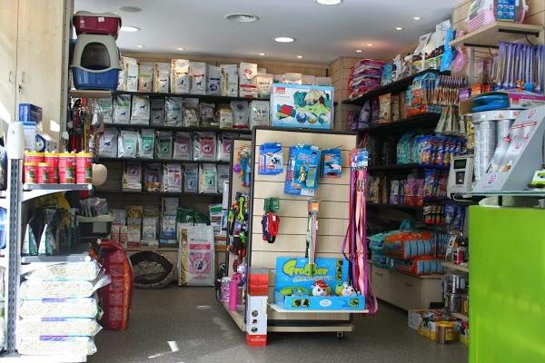 Imagen 44 Grupo 1 Ave Fénix foto