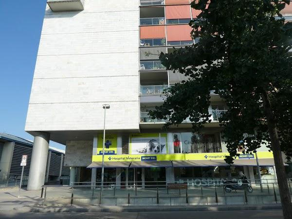 Imagen 61 Grupo 1 Ave Fénix foto