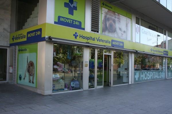 Imagen 62 Grupo 1 Ave Fénix foto