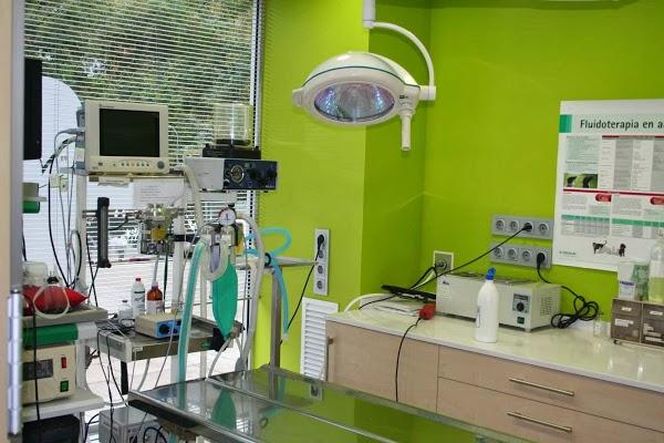 Imagen 63 Grupo 1 Ave Fénix foto