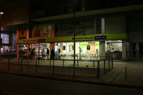 Imagen 68 Grupo 1 Ave Fénix foto