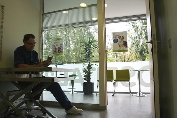 Imagen 10 Grupo 1 Ave Fénix foto