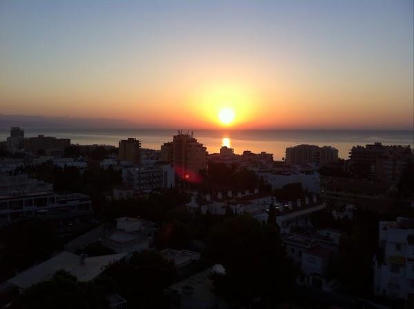 Imagen 18 Horchateria Sirvent foto