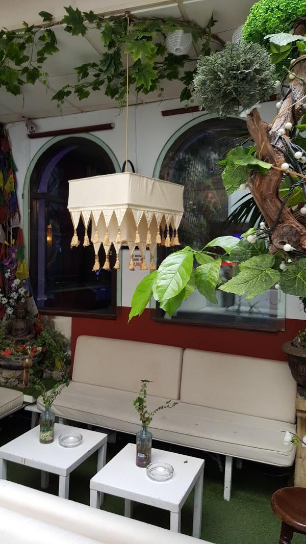 Imagen 63 Mesón Ibérico Dehesa Las Hazuelas foto