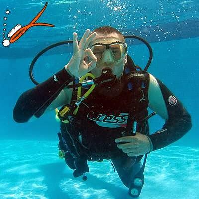 Imagen 5 Mc Donald's foto