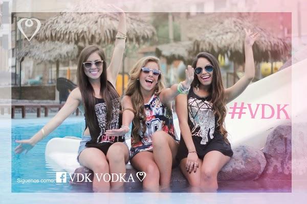 Imagen 74 VDK VODKA foto