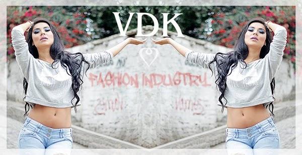 Imagen 82 VDK VODKA foto