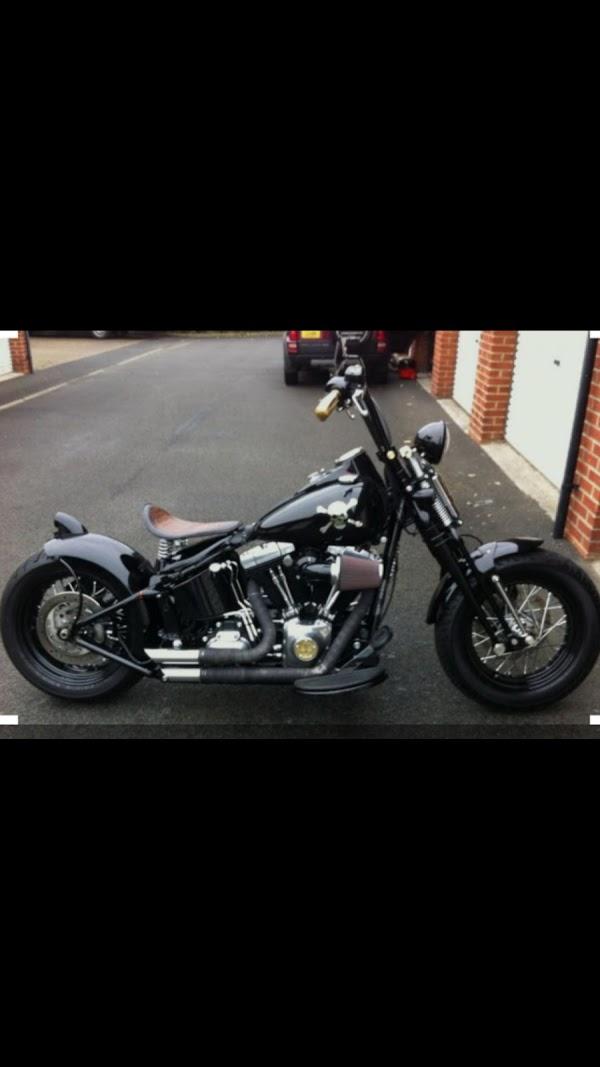 Imagen 65 Maderas Selvamex, SA de CV foto