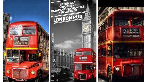 Imagen 68 Maderas Selvamex, SA de CV foto