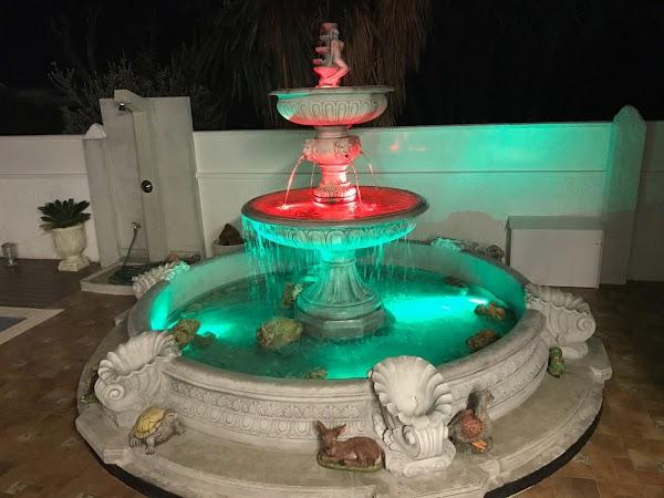 Imagen 70 Maderas Selvamex, SA de CV foto