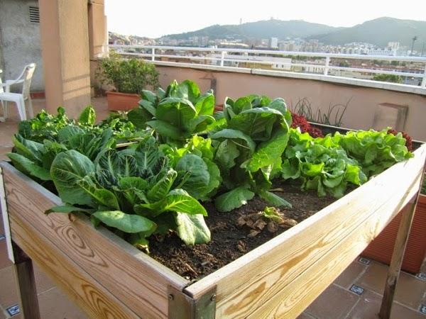 Imagen 9 Residencia Barcelona foto