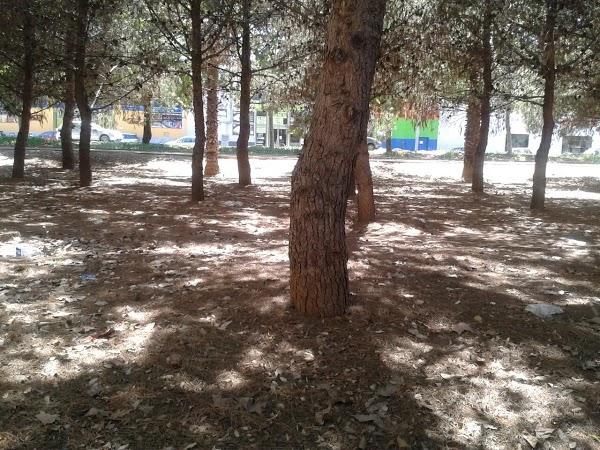 Imagen 15 Restaurant La China foto