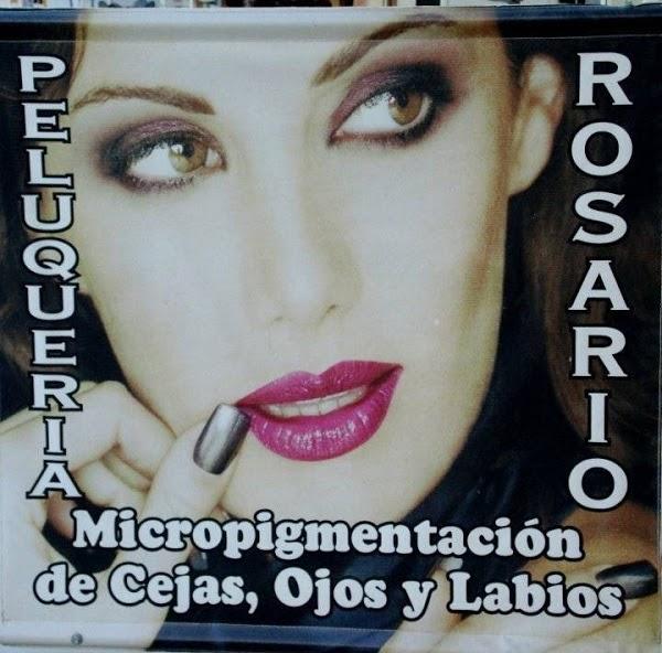 Imagen 2 Apellaniz Consultores foto