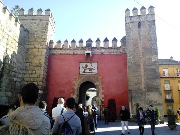 Imagen 48 Kasual & Spedition foto