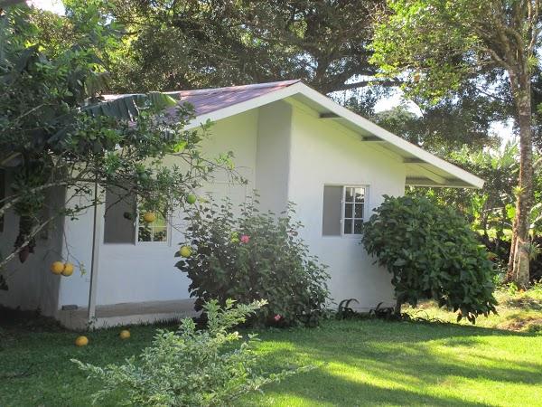 Imagen 2 Agroinsumos Riego foto