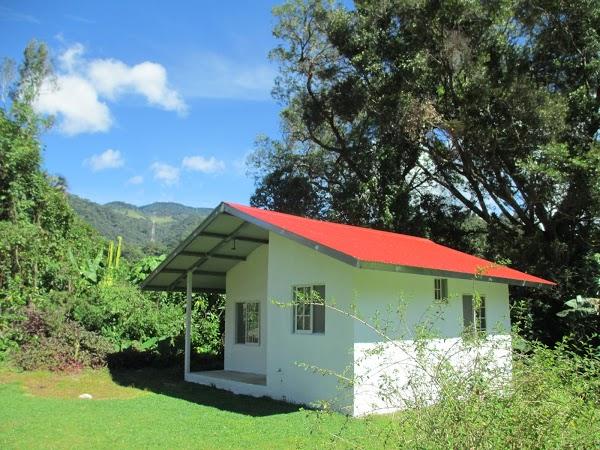 Imagen 11 Agroinsumos Riego foto