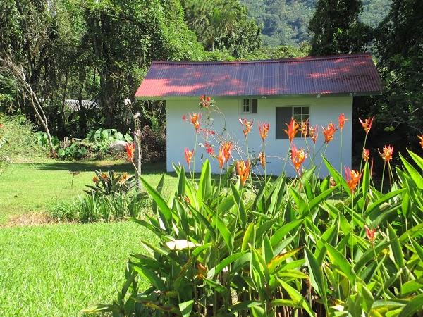 Imagen 12 Agroinsumos Riego foto