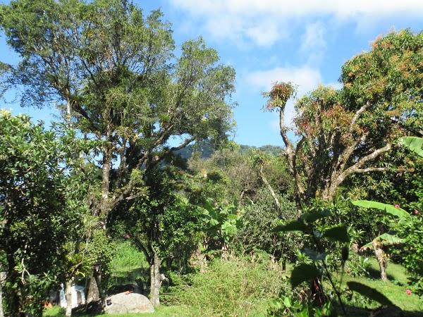 Imagen 17 Agroinsumos Riego foto