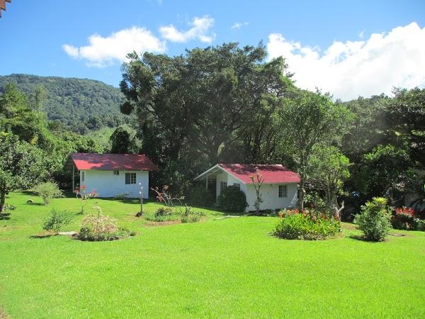 Imagen 18 Agroinsumos Riego foto