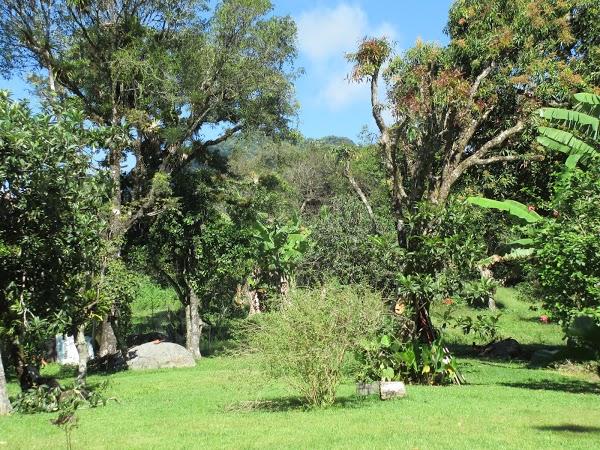 Imagen 19 Agroinsumos Riego foto