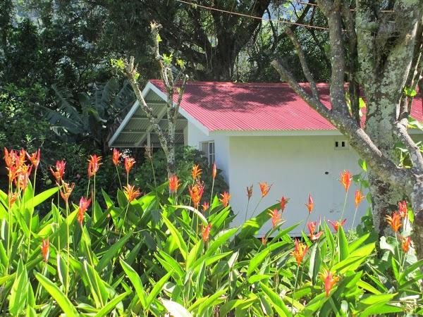 Imagen 20 Agroinsumos Riego foto