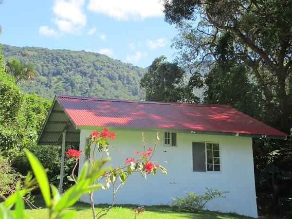 Imagen 4 Agroinsumos Riego foto