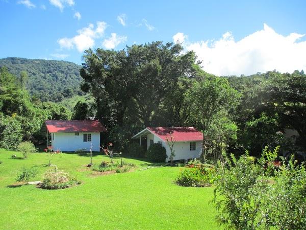 Imagen 8 Agroinsumos Riego foto