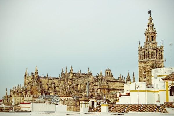 Imagen 40 IQUATRE. Solucions Informàtiques. foto