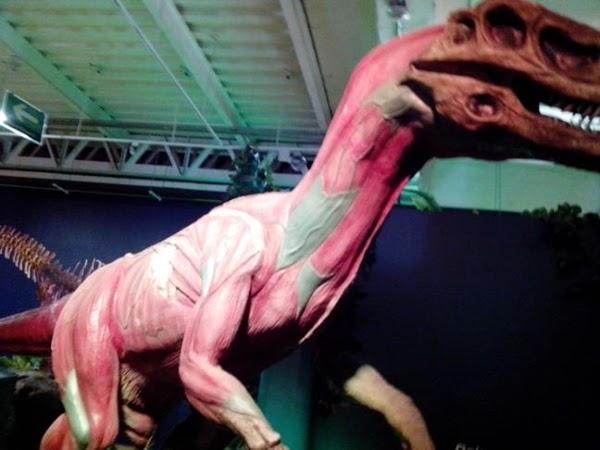 Imagen 3 La Gavia foto