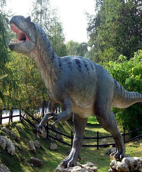 Imagen 5 La Gavia foto