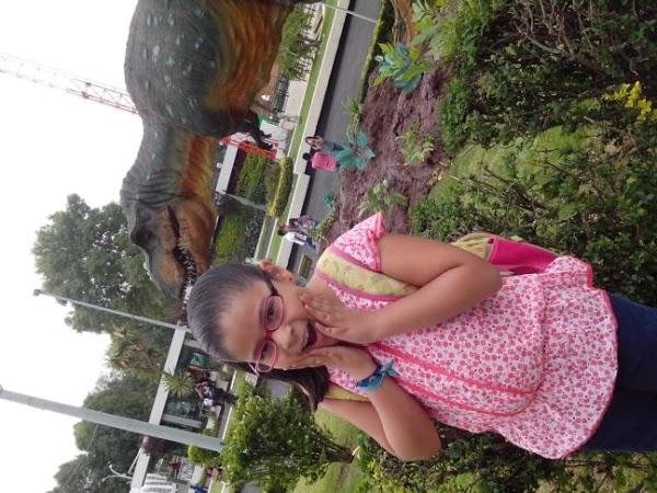 Imagen 10 La Gavia foto