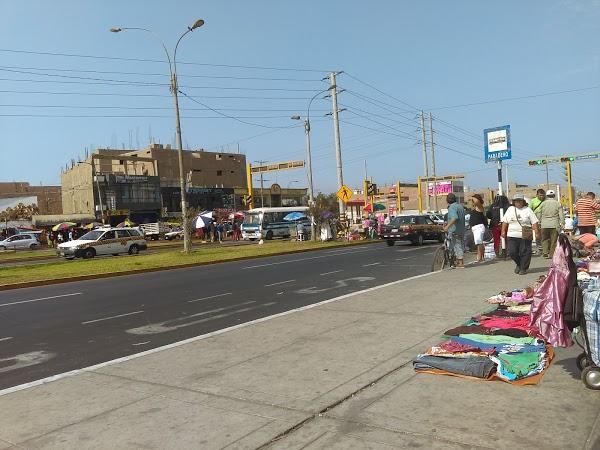 Imagen 67 Fiesta Dinos foto