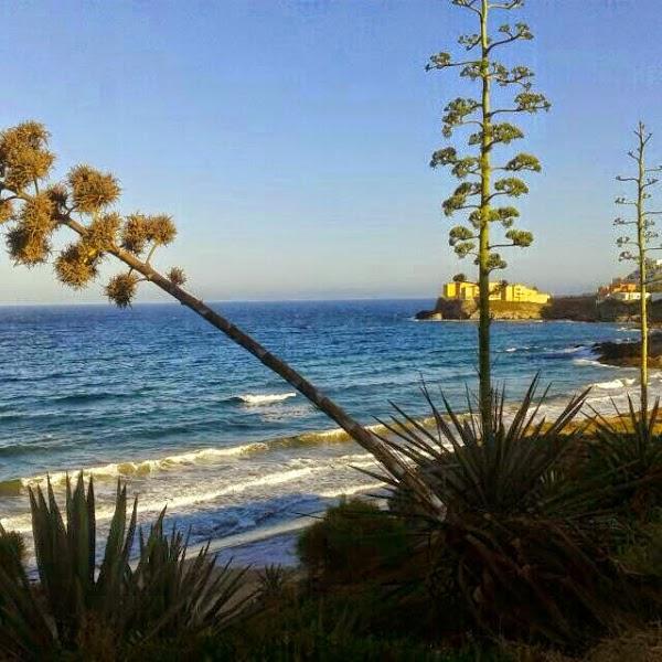 Imagen 5 Clinica de Colposcopia Fundacion Cruz Talonia foto